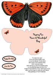 Butterfly Stand Up Card 14