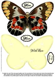 Butterfly Stand Up Card 16