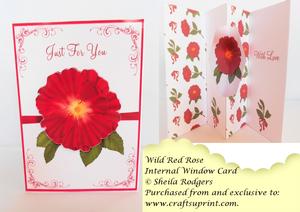 Internal Window Card - Wild Red Rose