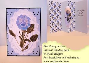 Internal Window Card - Blue Pansy on Lace