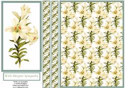 White Lily Sympathy