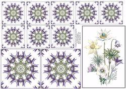 Pulsatilla Flowers with Tea Bag Tiles