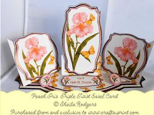 Triple Twist Easel Card - Peach Iris