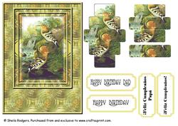 Hoopoe Birds 1