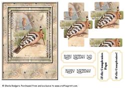 Hoopoe Bird 2