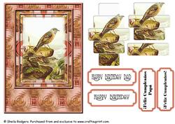 Alpine Accentor Bird