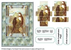 Alpine Swift Birds