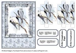 Black Shouldered Kite Birds