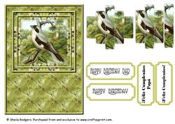 Lesser Grey Shrike