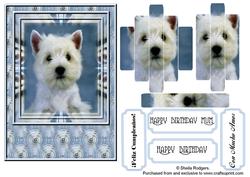 White Dog Against Blue