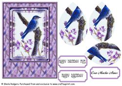 Blue Bird with Violet Flowers