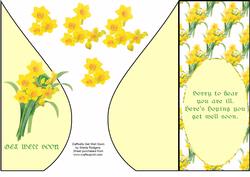 Daffodils Get Well Soon