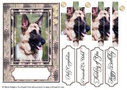 German Shepherd Dog