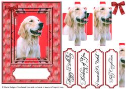 Labrador Retriever