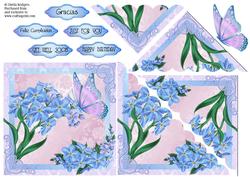 Butterfly and Forget Me Nots - with Spanish