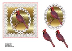 Bird in Lace Frame 2