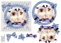 Christmas Kittens on Lace