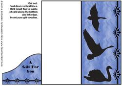 Swans Voucher Card