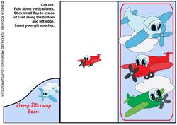 Aeroplanes Voucher Card