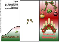 Christmas Decorations Voucher Card