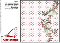 Christmas Bells and Berries Voucher Card