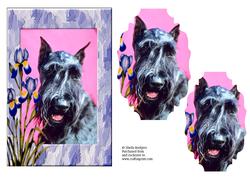 Black Terrier with Irises