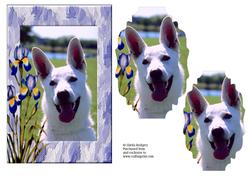 White Dog with Irises