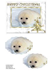 Christmas Seal Pup