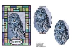 Barred Owl in Stained Glass