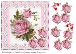 Pink French Roses with Lace