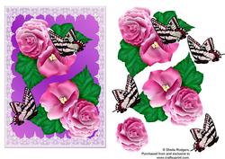 Begonias and Butterflies