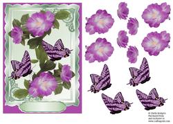 Pink Wild Roses with Butterflies