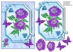 Purple Chrysanths