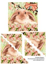 Bunny Love