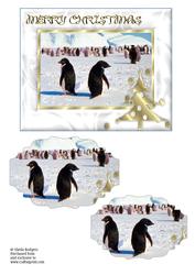 Penguins on Snow