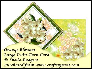 Large Twist Turn Card - Orange Blossom