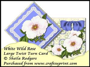 Large Twist Turn Card - White Wild Rose