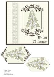 Cream Border - Poinsettia Tree