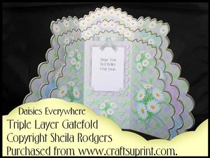 Triple Layer Gatefold - Daisies Everywhere