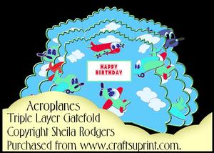 Triple Layer Gatefold - Aeroplanes
