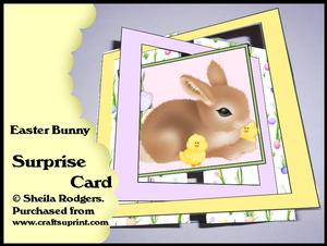 Surprise Card - Easter Bunny
