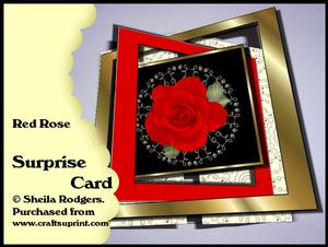 Surprise Card - Red Rose