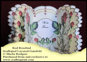 Scalloped Layered Gatefold - Red Rosebud