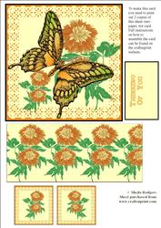 Exploding Card - Citrus Butterfly