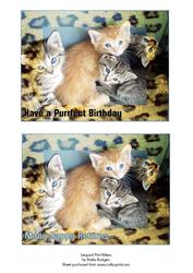 Leopard Print Kittens