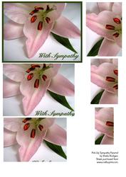 Pink Lily Sympathy Pyramid