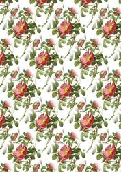 Rose of Love Backing Paper