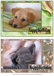 Puppy and Kitten Toppers
