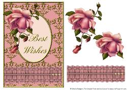Blush Rose with Ruffle - Best Wishes