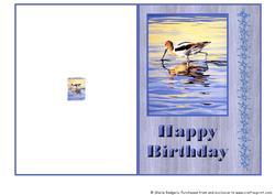 Quick Card - Avocet